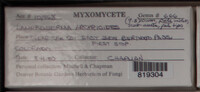 Image Associated With the Occurence